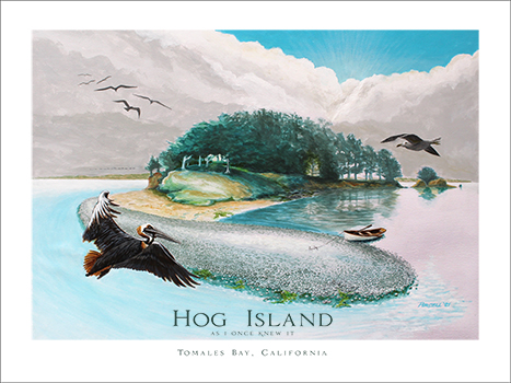 HogIsland AsIOnceKnewIt 467x350