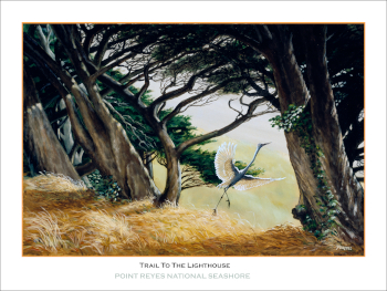 TrailToTheLighthouse263x193